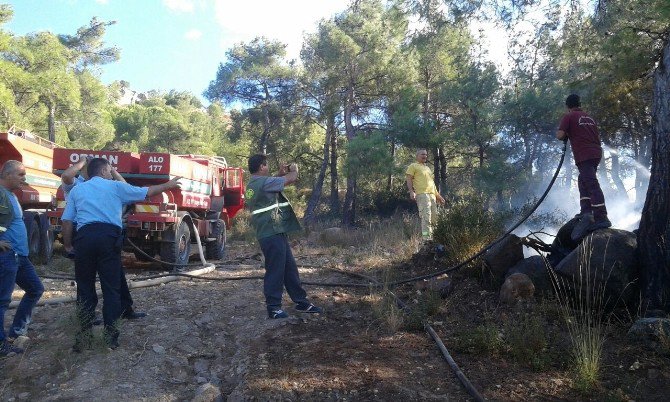 Maytap İle Oynayan Çocuklar Orman Yangını Çıkardı