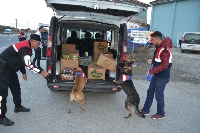 “Çaba” Ve “İbre” İş Başında