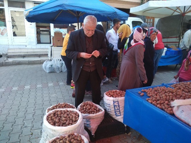 Ceviz Fiyatları Düştü