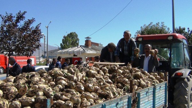 Erciş Şeker Fabrikası’nda Pancar Alım Kampanyası