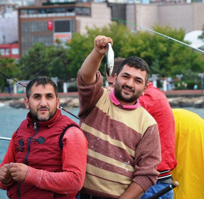 Fatsa İskelesi’nde Çinekop Bereketi