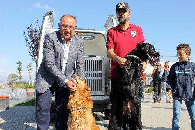 Fosfor Ve İvan Zehir Tacirlerinin Kâbusu Oldu