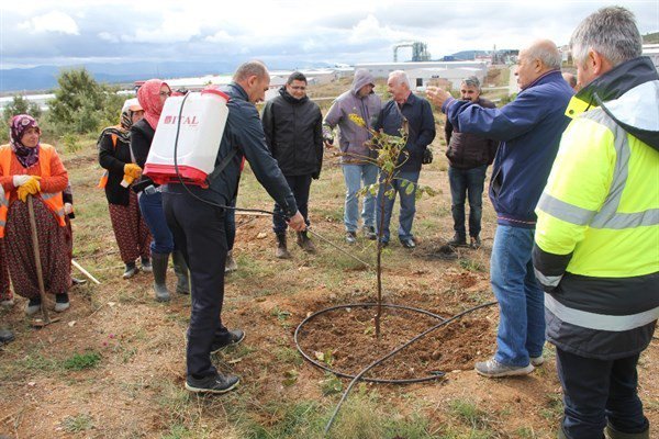 5 Bin Köye 5 Bin Orman Projesi Başladı