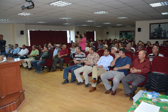 Sökeli Üretici Pamuk Fiyatındaki Düşüşe Çözüm Arıyor