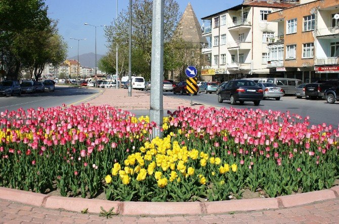 Melikgazi Yine Çiçek Açacak