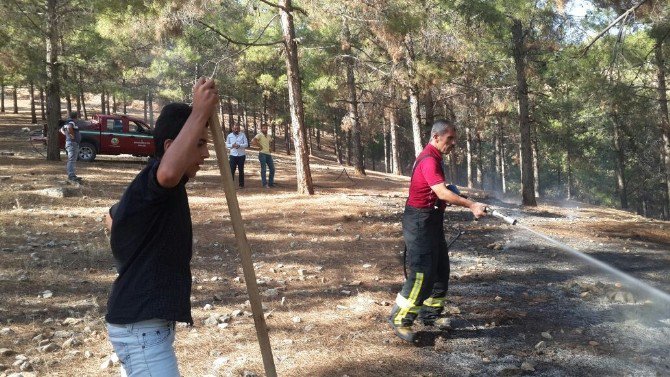 Ormanlık Alandaki Yangın Büyümeden Söndürüldü