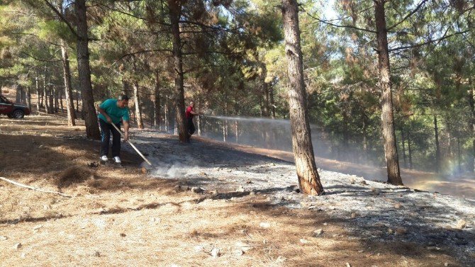 Ormanlık Alandaki Yangın Büyümeden Söndürüldü