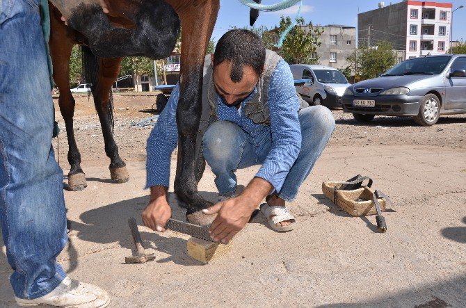 Nalbantlık Mesleği Son Demlerini Yaşıyor