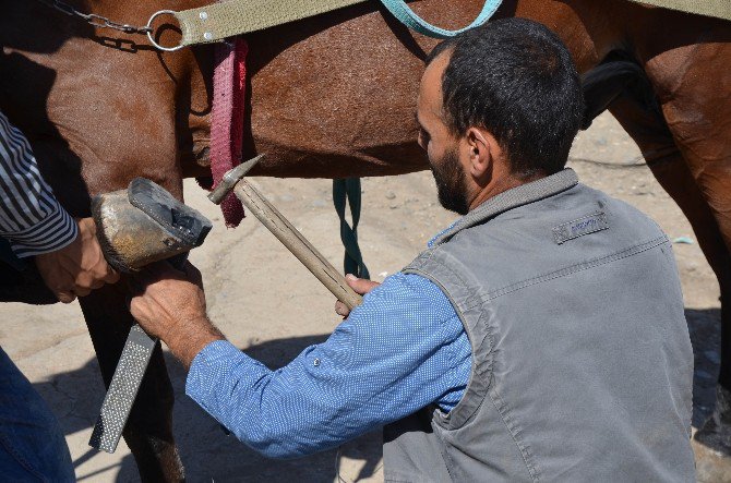 Nalbantlık Mesleği Son Demlerini Yaşıyor