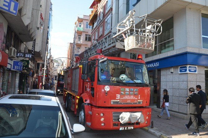 Fatsa İtfaiye Ekipleri Şehir Turu Attı