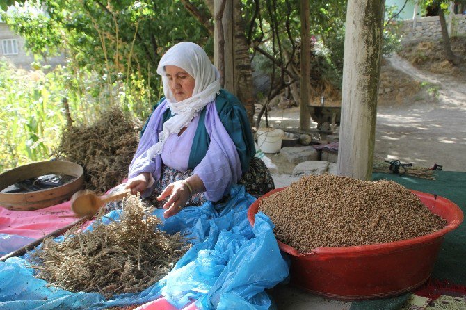 Hakkari’de Kış Hazırlığı