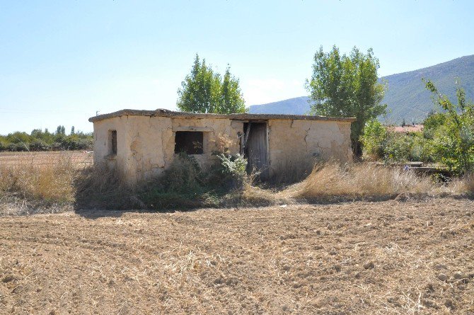 Metruk Binada Çürümüş Erkek Cesedi Bulundu