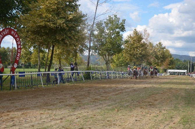 Sapanca Mahalli At Yarışları Büyük İlgi Gördü