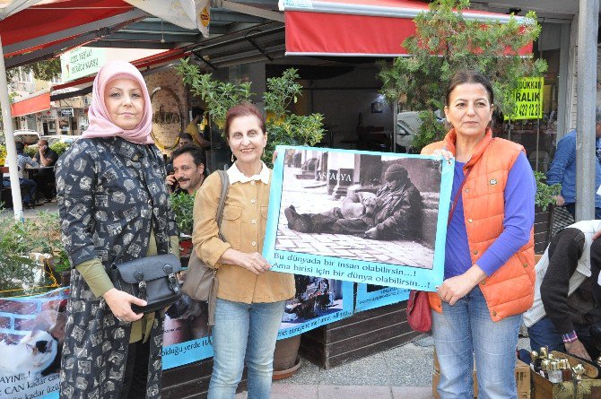 Hayvanseverler, Trafikte Dikkat İstedi