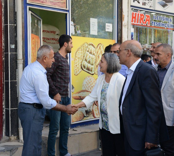 Eş Başkanlar Silvan’da Çalışma Alanlarını Denetledi