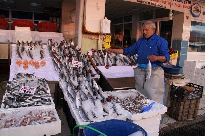 Yozgat’ta Balık Tezgahlarında Çeşitlilik Arttı