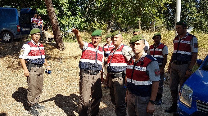 Jandarma, Kayıp Kadın İçin Seferber Oldu