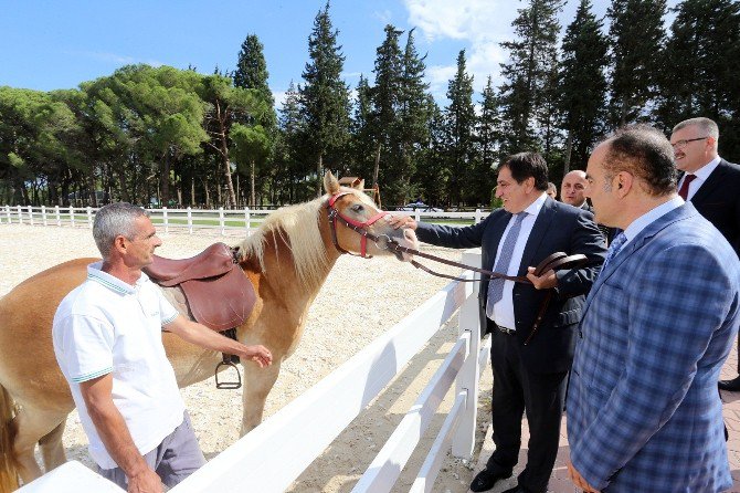 Bursa Valisi İzzettin Küçük İlçe Ziyaretlerine Devam Ediyor