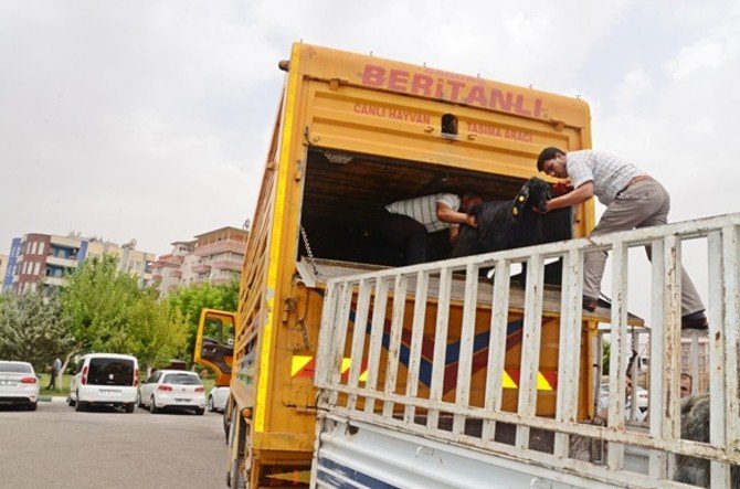 Genç Çiftçi Projeleri Tamamlandı