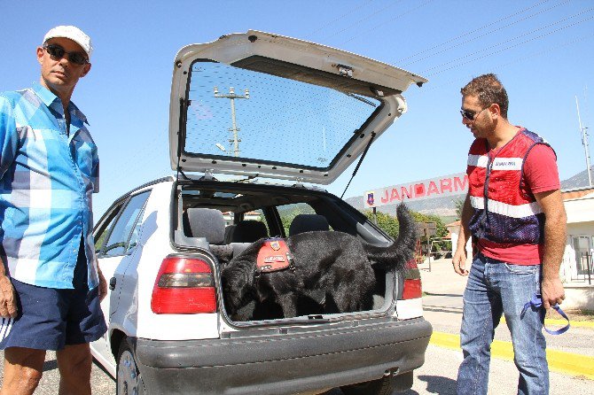 Fethiye’de Huzurlu Denetimleri Güveni Sağlıyor