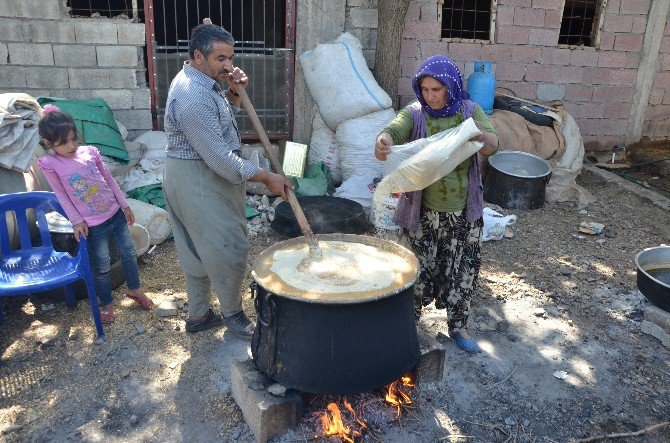 Bulamaç Sezonu Başladı