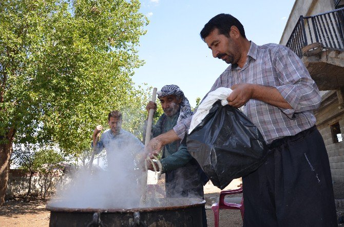 Bulamaç Sezonu Başladı