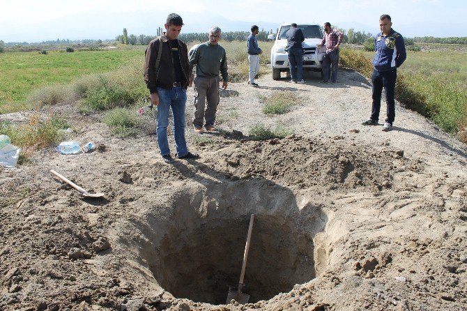 Porsuk Avlama Teşebbüsüne Para Cezası