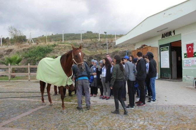 Lise Öğrencileri Meslekleri Tanıyor