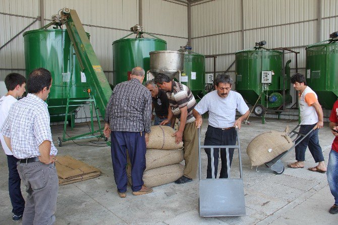 Selde Islanan 105 Ton Fındık Kurutuldu