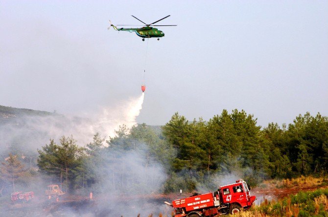 Aydın Ve Muğla’da 300 Orman Yangını Çıktı