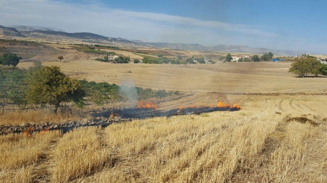 Anız Yakan Tarla Sahibine Ceza