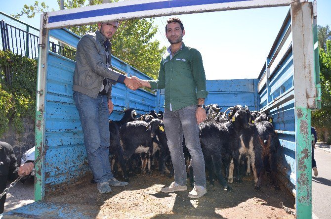 Genç Çiftçilere Hibe Desteği Verilmeye Başlandı