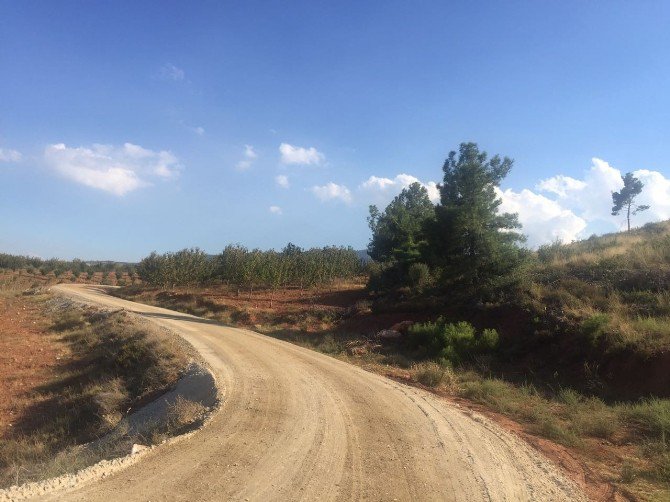 Alaşehir’in Yolları Asfaltlanıyor