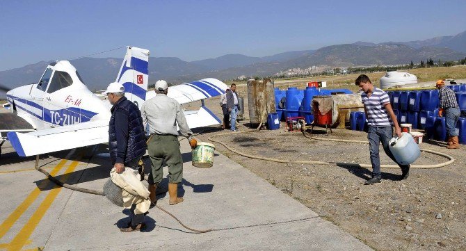 Edremit Körfezi’nde Zeytin Sineğine Karşı İlaçlama Başladı