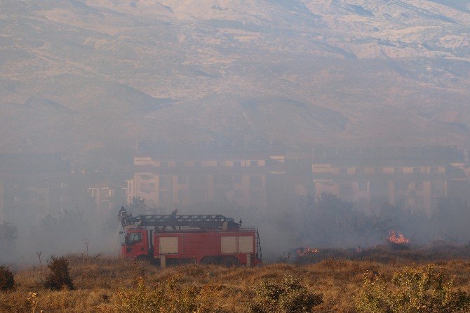 Bingöl’de Orman Yangını