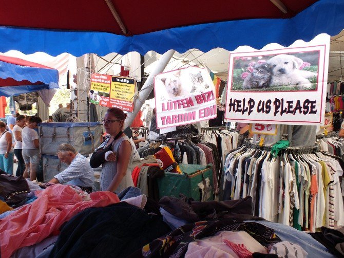 Hayvanlar İçin İkinci El Kermes Düzenlendi