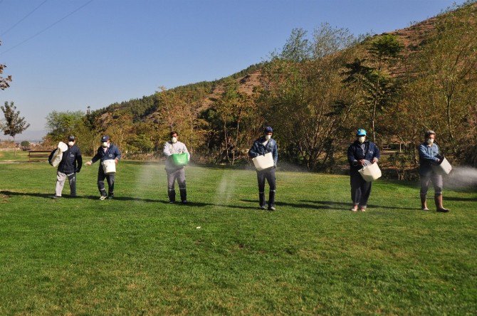 Salihli’de Parklara Kış Bakımı Başladı