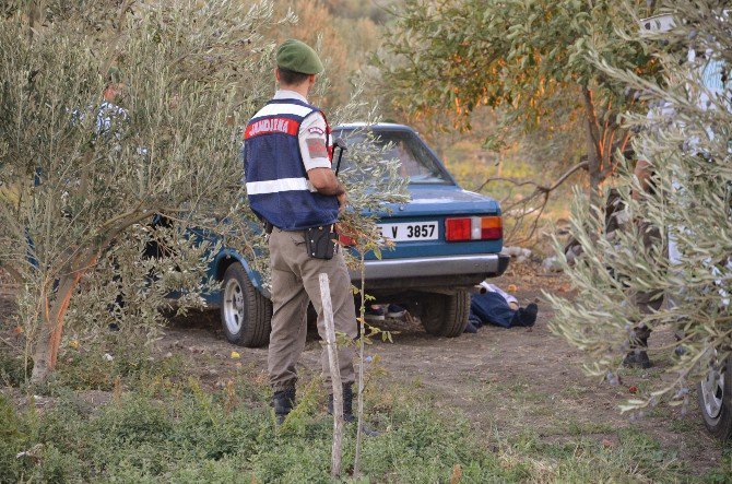 Tarlada Ölü Bulundu