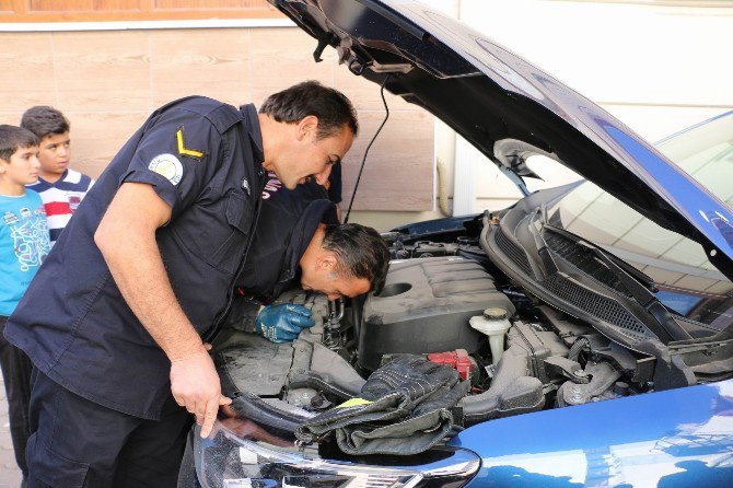 Soğuktan Üşüyen Yavru Kedi, Sığınak Olarak Araba Motorlarını Seçti