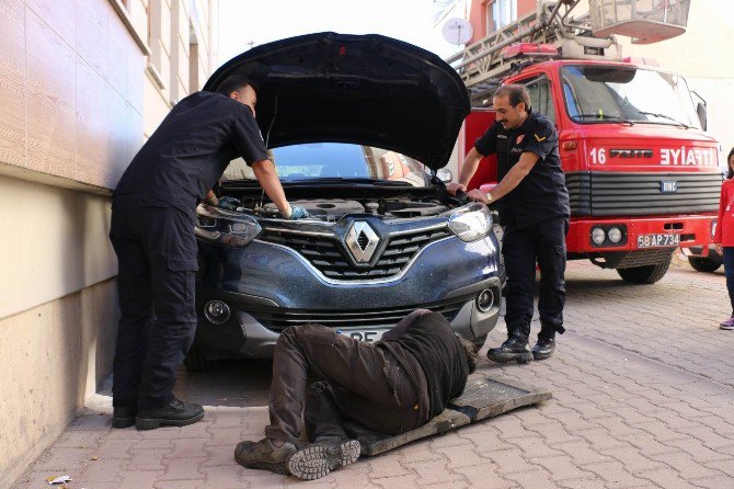 Soğuktan Üşüyen Yavru Kedi, Sığınak Olarak Araba Motorlarını Seçti