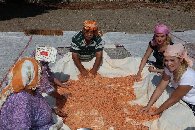 Urlalı Kadınların Dayanışma Tarhanası