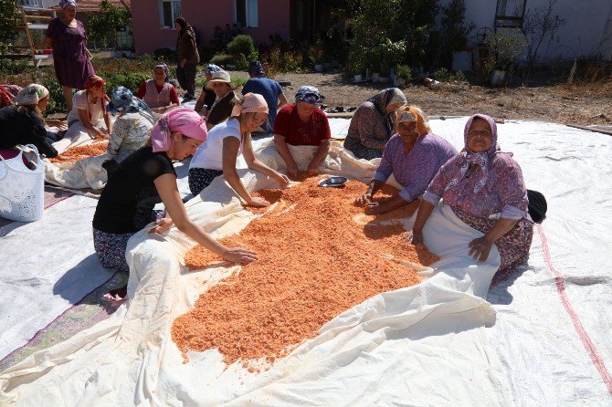 Urlalı Kadınların Dayanışma Tarhanası