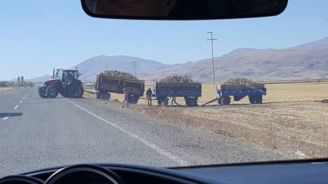 Pancar Yüklü Traktörler Yollarda