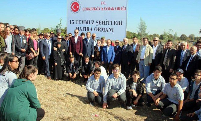 15 Temmuz Şehitleri İçin Hatıra Ormanı