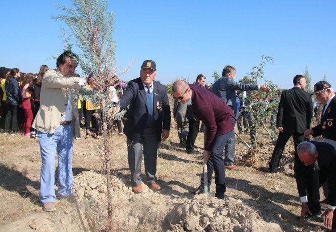 15 Temmuz Şehitleri İçin Hatıra Ormanı