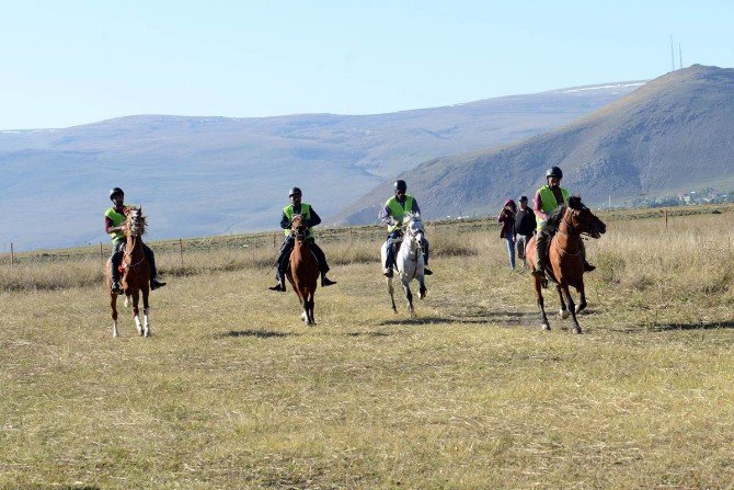 Vali Özefe, Rahvan At Yarışlarını İzledi