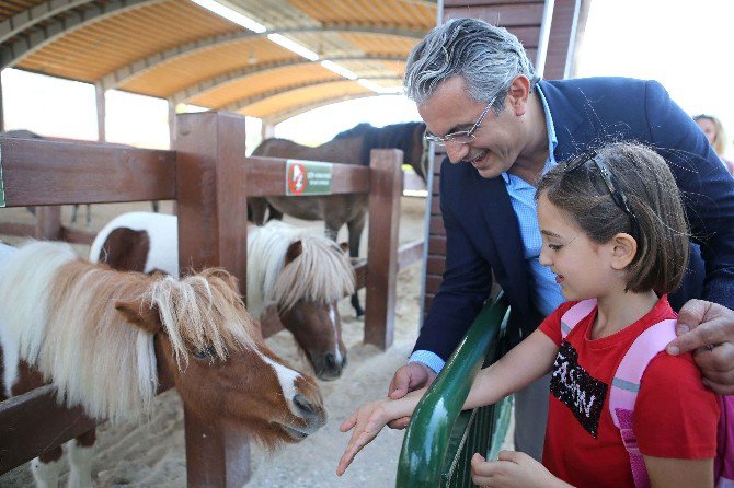 Hayvanseverler Patifest’te Buluştu