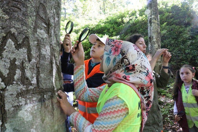 Öğrenciler, Doğada Bilimi Yaşayarak Öğreniyor