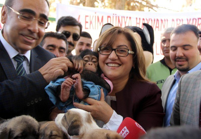 Hayvanları Koruma Günü Etkinliğinde Yavru Şempanzeye Yoğun İlgil