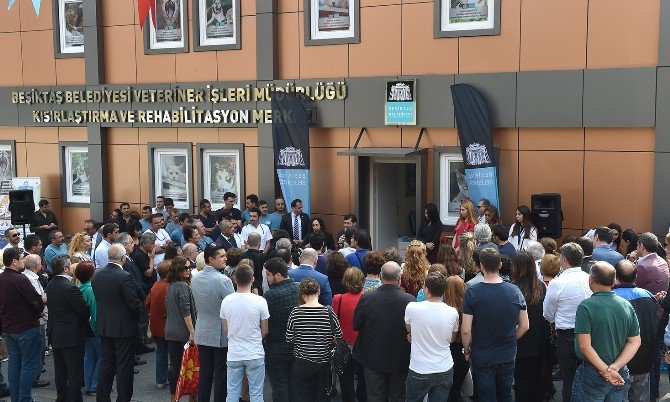 Beşiktaş Belediyesi, Hayvanları Kısırlaştırma Ve Rehabilitasyon Merkezi Hizmete Açıldı